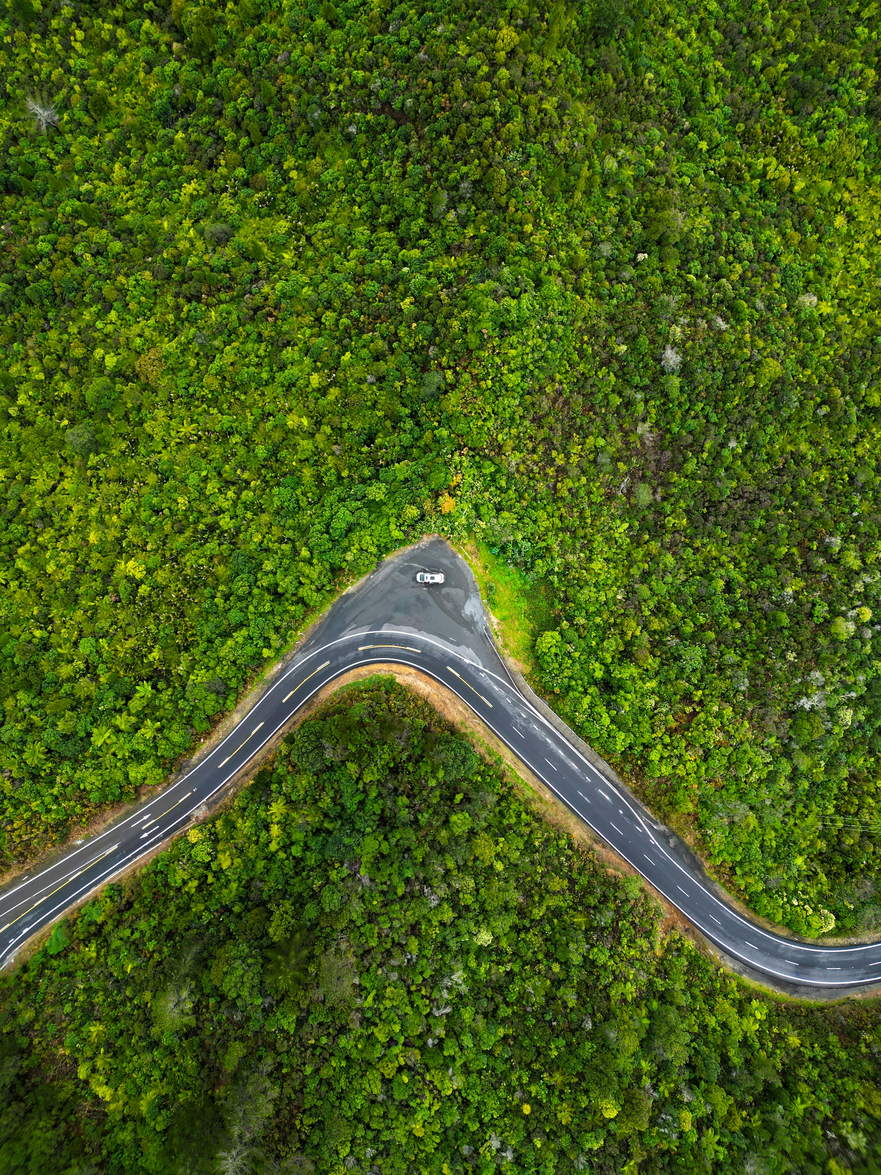 The Intersection of Nature and Technology: Driving Sustainable Material Innovation