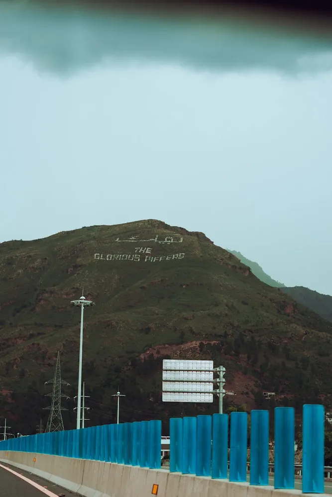 How Signage and Barriers Can Prevent Wildlife Accidents on Roads