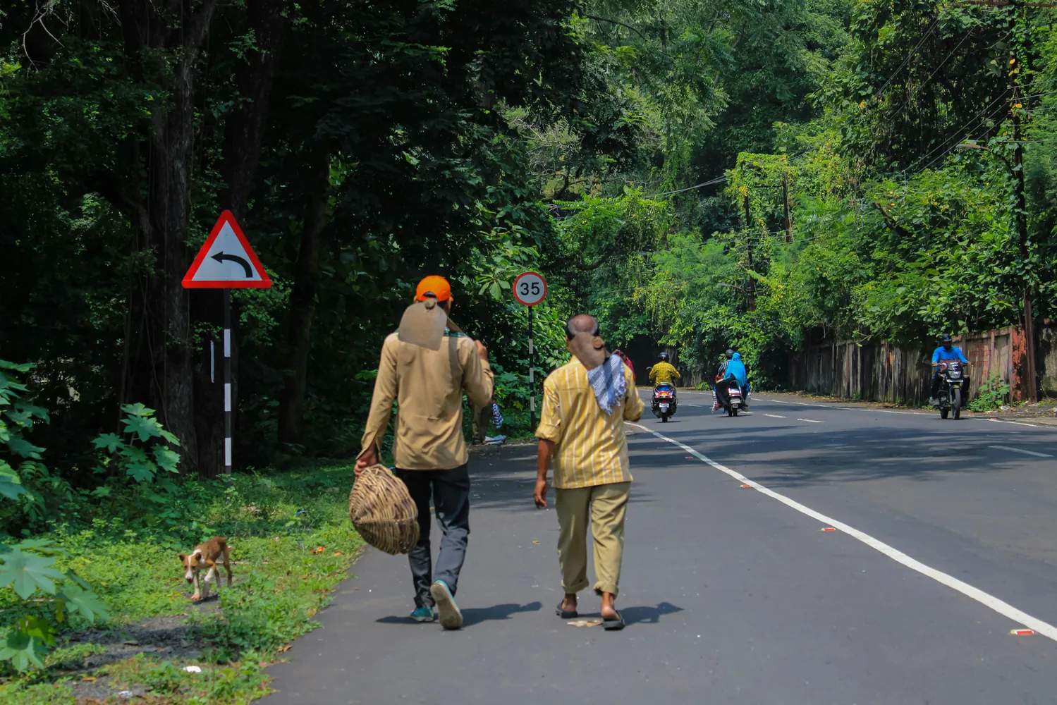 Strategies for Enhancing Wildlife Safety on Roads: A Corridor vs. Overpass Perspective